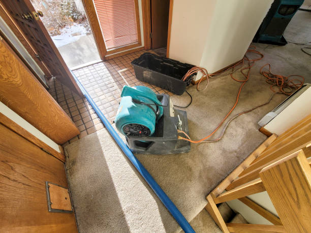 Best Flooded house restoration  in Pauls Valley, OK