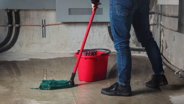 Best Local water damage restoration  in Pauls Valley, OK