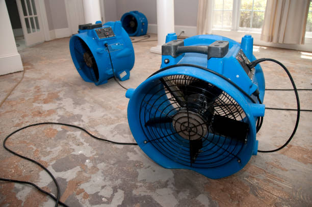 Best Ceiling water damage repair  in Pauls Valley, OK