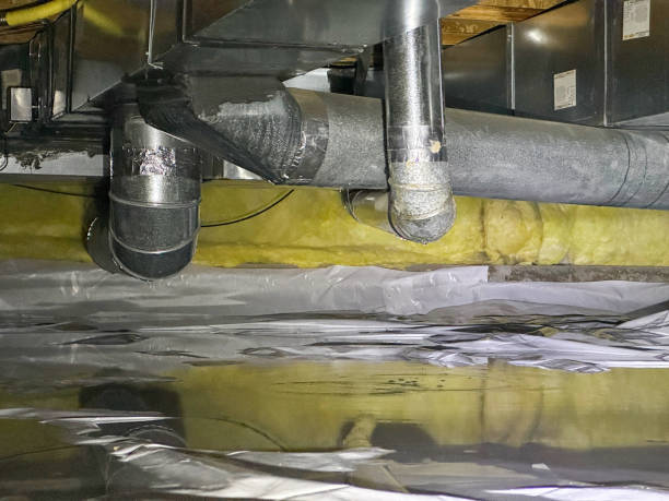 Best 24/7 water damage repair  in Pauls Valley, OK