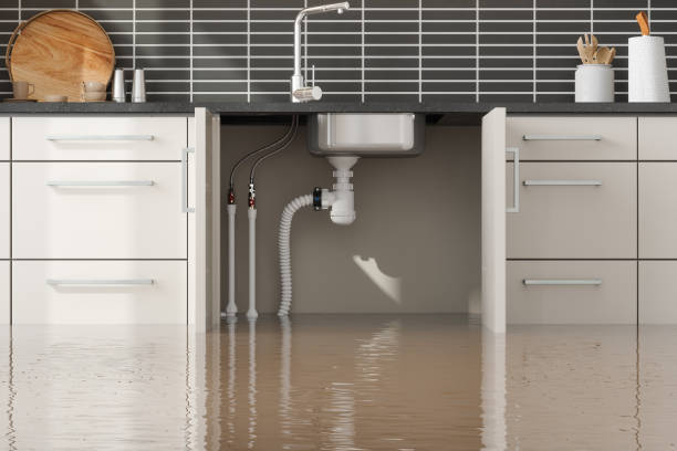 Best Fire Damage Restoration  in Pauls Valley, OK