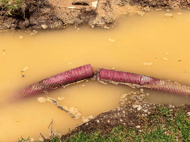 Best Commercial water damage restoration  in Pauls Valley, OK