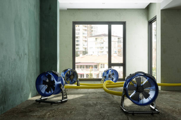 Best Water damage contractors near me  in Pauls Valley, OK
