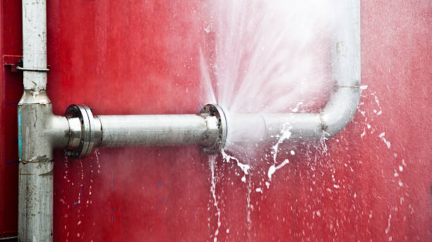 Best Carpet water damage restoration  in Pauls Valley, OK